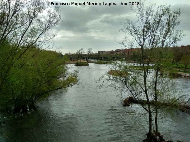 Río Tormes - Río Tormes. 