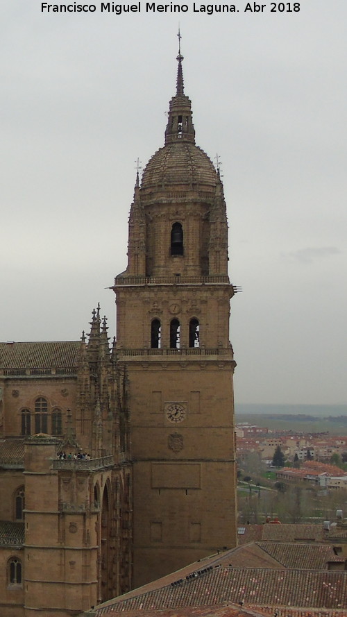 Catedral Vieja. Torre de las Campanas - Catedral Vieja. Torre de las Campanas. Desde la Clerecía
