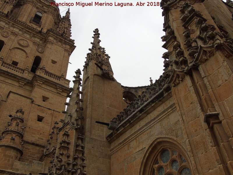 Catedral Nueva - Catedral Nueva. Pináculos