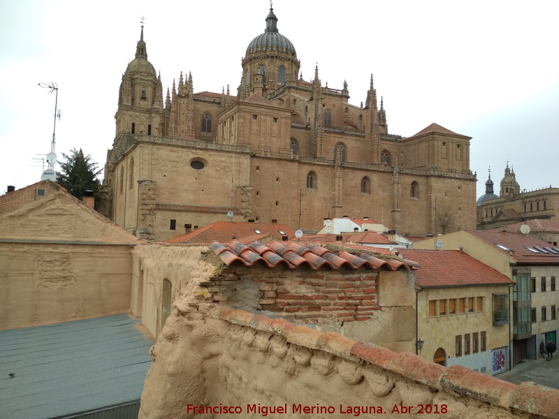 Catedral Nueva - Catedral Nueva. Desde la Torre del Marqués de Villena