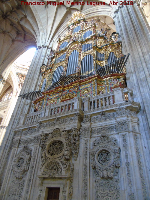 Catedral Nueva. Órgano del Evangelio - Catedral Nueva. Órgano del Evangelio. 