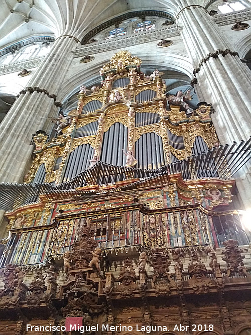 Catedral Nueva. rgano del Evangelio - Catedral Nueva. rgano del Evangelio. 