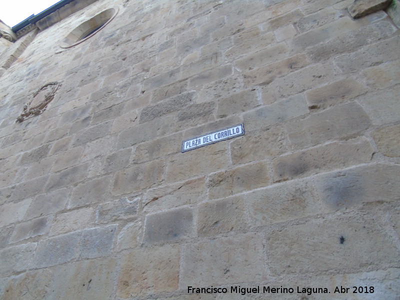 Iglesia de San Martn - Iglesia de San Martn. Sillera