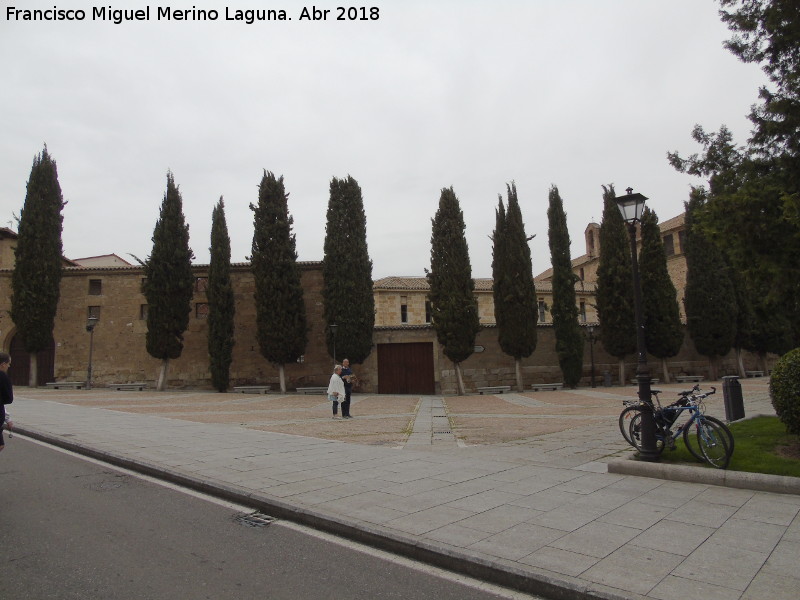 Convento de las Dueñas - Convento de las Dueñas. 