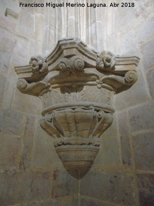 Catedral Vieja. Sala de la Bóveda - Catedral Vieja. Sala de la Bóveda. Ménsula