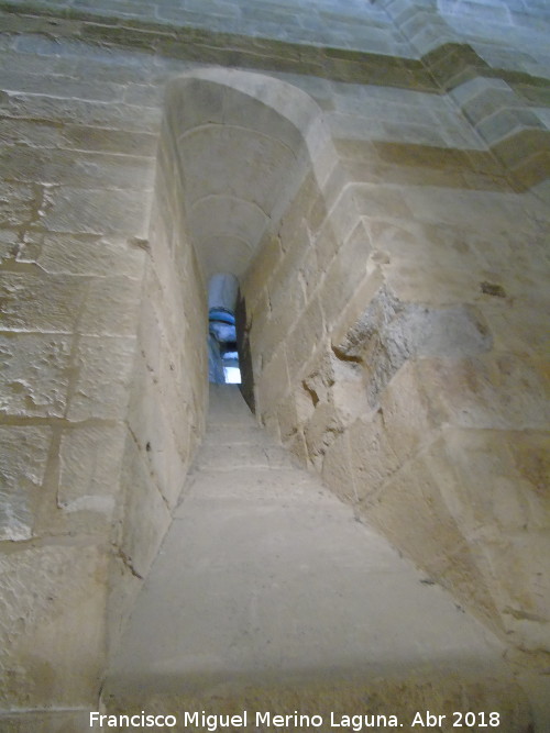 Catedral Vieja. Sala de la Bóveda - Catedral Vieja. Sala de la Bóveda. Ventana