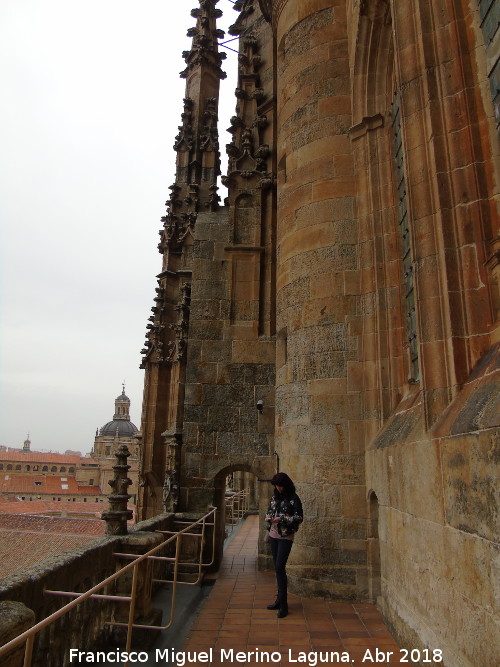 Catedral Nueva. Terraza de Anaya - Catedral Nueva. Terraza de Anaya. 