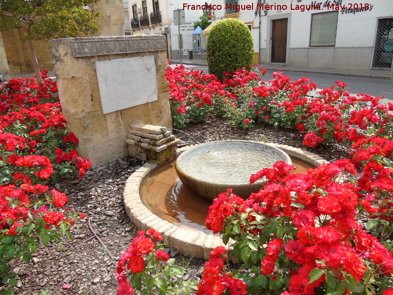 Fuente de San Lorenzo - Fuente de San Lorenzo. 