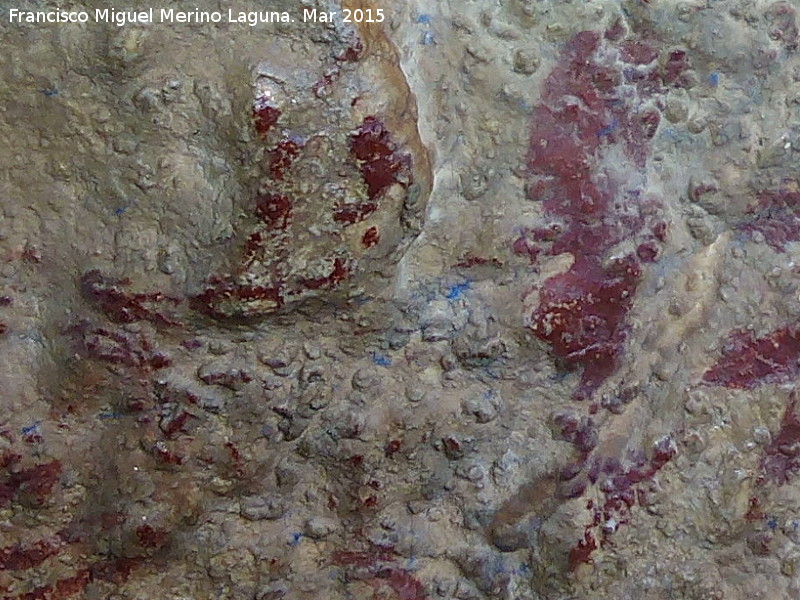 Pinturas rupestres de la Cueva de los Herreros Grupo XI - Pinturas rupestres de la Cueva de los Herreros Grupo XI. Posible cánido