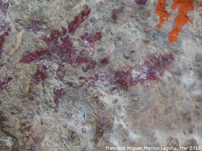 Pinturas rupestres de la Cueva de los Herreros Grupo XI - Pinturas rupestres de la Cueva de los Herreros Grupo XI. Cánido inferior del grupo principal