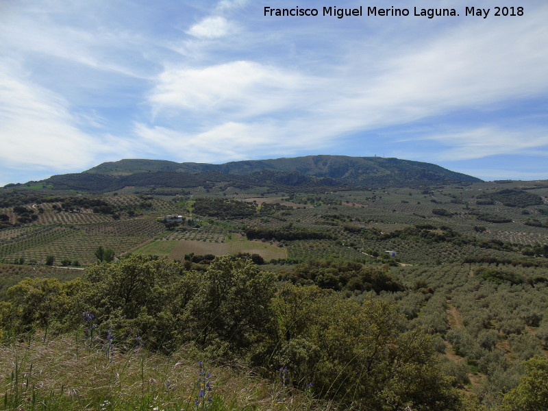 Sierra de Parapanda - Sierra de Parapanda. Desde la Peña de los Gitanos