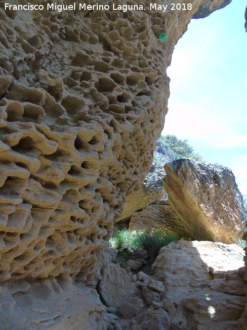 Abrigo de la Colmena - Abrigo de la Colmena. Erosión alveolar