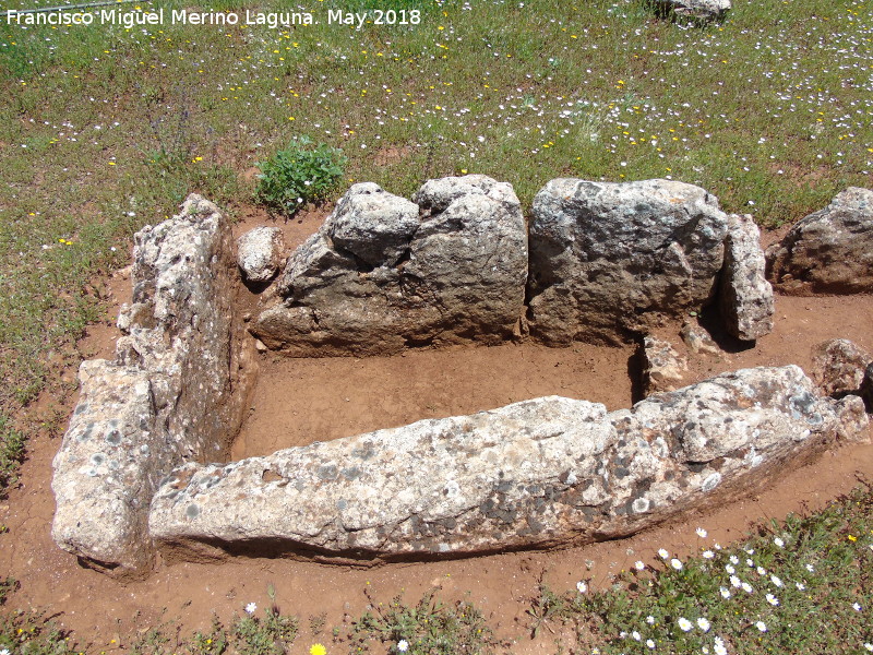 Dolmen Central - Dolmen Central. Cámara