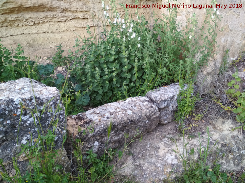 Aprisco de la Peña de los Gitanos - Aprisco de la Peña de los Gitanos. Tranco de la puerta