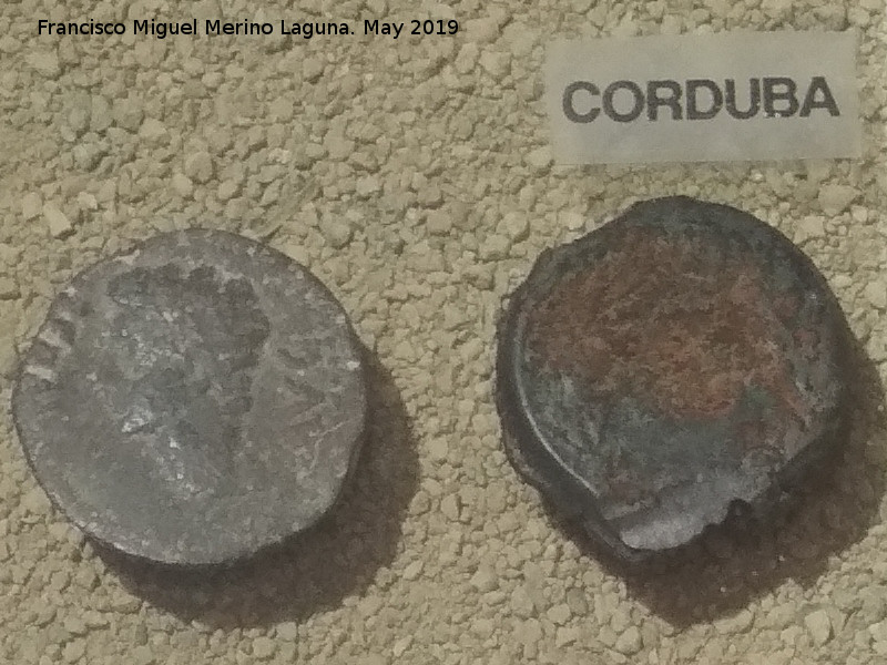 Historia de Córdoba - Historia de Córdoba. Ases de Corduba 75 a.C. Cástulo. Museo Arqueológico de Linares