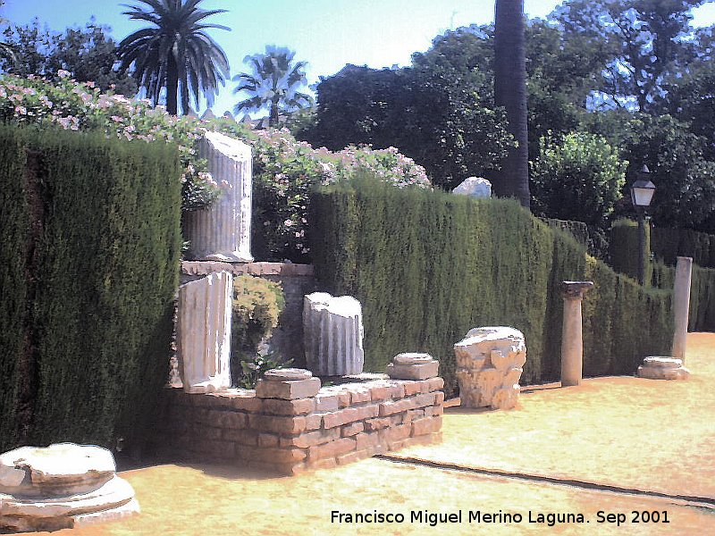 Alcázar de los Reyes Católicos - Alcázar de los Reyes Católicos. Restos de columnas romanas en los jardines