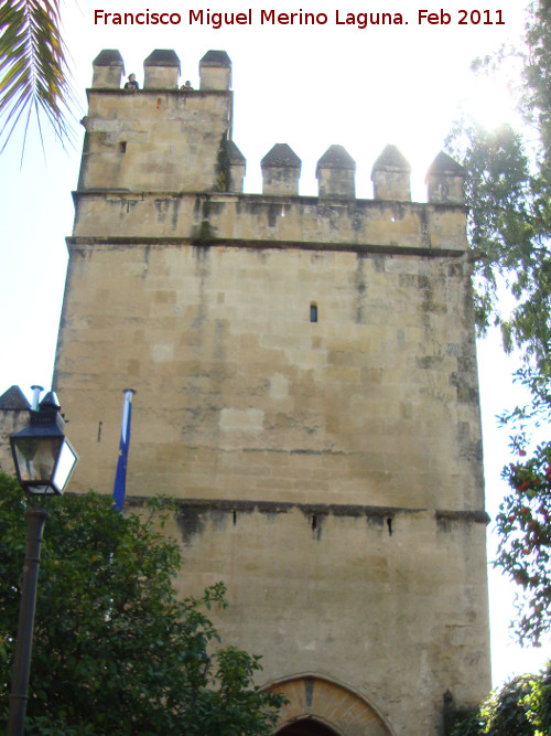 Alcázar de los Reyes Católicos - Alcázar de los Reyes Católicos. Torreon de la Puerta