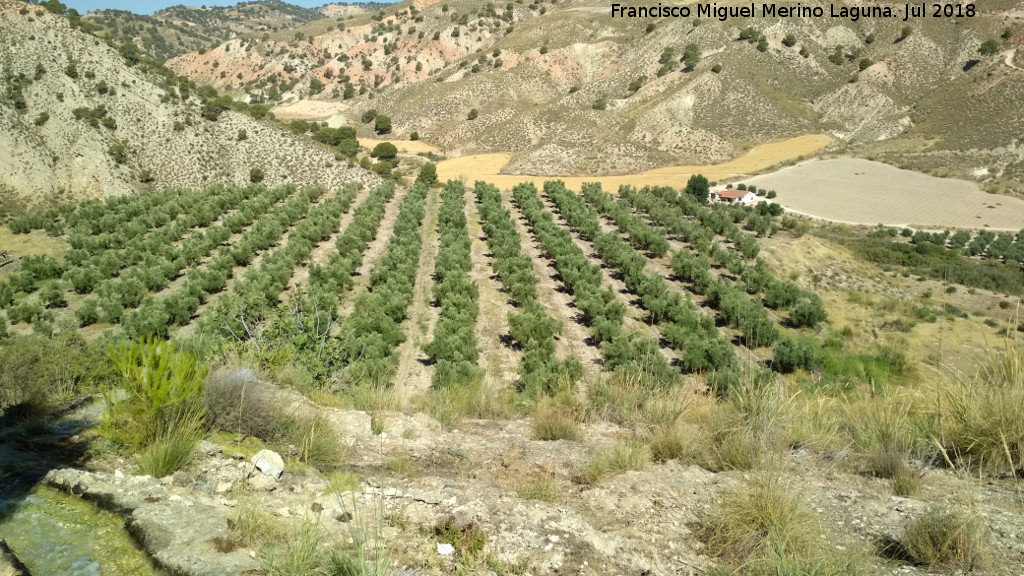 Poblado prehistórico de Alicún - Poblado prehistórico de Alicún. 