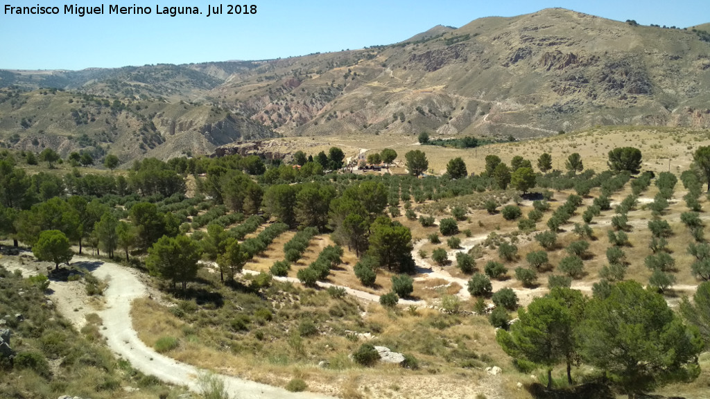 Mirador de Alicún de las Torres - Mirador de Alicún de las Torres. Vistas