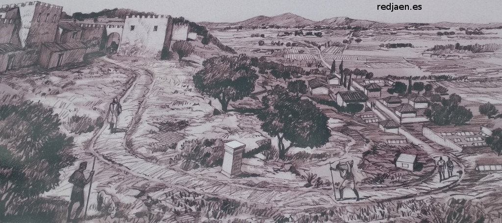 Lucentum. Necrópolis Norte - Lucentum. Necrópolis Norte. Dibujo