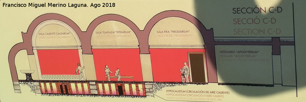 Lucentum. Termas de la Muralla - Lucentum. Termas de la Muralla. Seccin