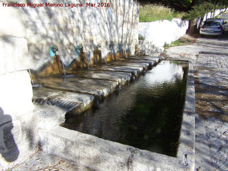 Fuente de los Siete Caños - Fuente de los Siete Caños. 