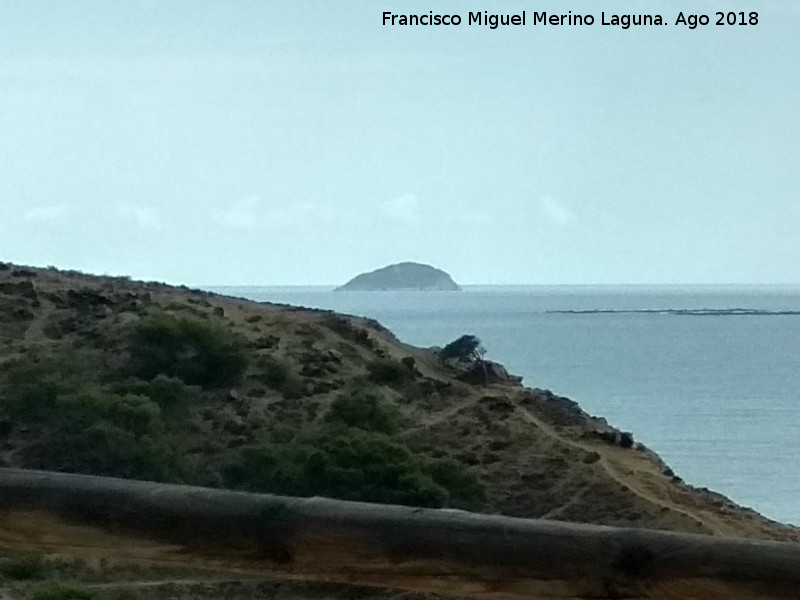 Isla de Benidorm - Isla de Benidorm. Desde la Malladeta