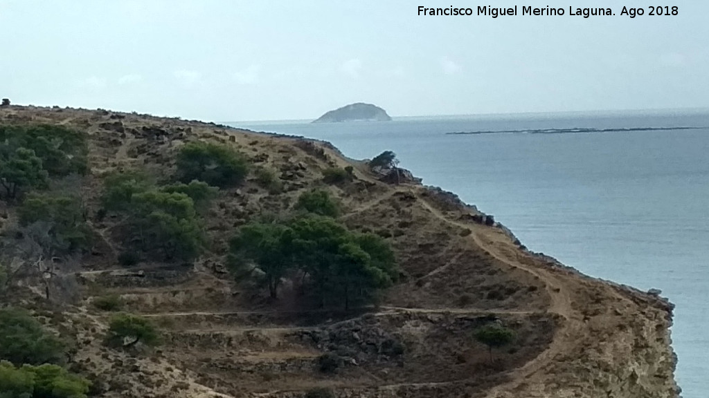 Isla de Benidorm - Isla de Benidorm. Desde la Malladeta