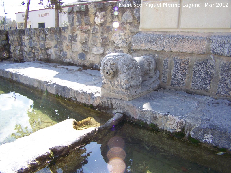 Fuente Zaide - Fuente Zaide. León izquierdo