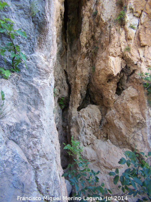 Pinturas rupestres del Abrigo del Rajón - Pinturas rupestres del Abrigo del Rajón. Rajón