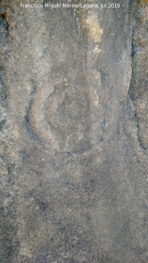 Petroglifos rupestres del Abrigo de la Tinaja IV - Petroglifos rupestres del Abrigo de la Tinaja IV. Círculos concéntricos