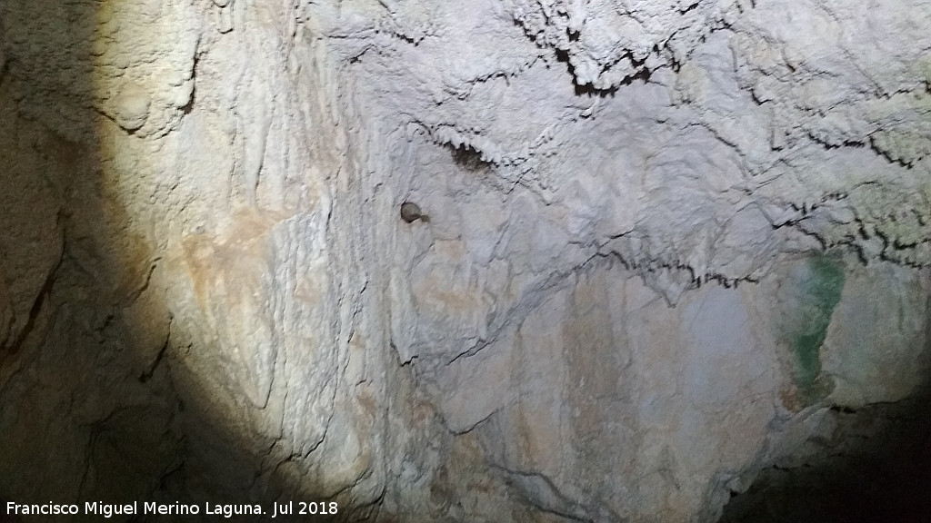 Cueva neolítica de los Corzos - Cueva neolítica de los Corzos. 