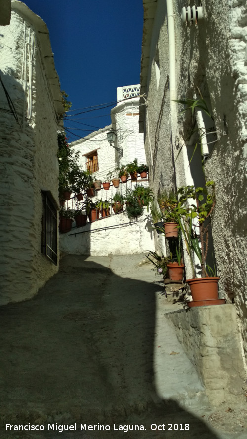 Calle Fuente Ciprés - Calle Fuente Ciprés. 