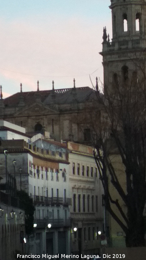 Catedral de Ja�n. Tejados - Catedral de Ja�n. Tejados. Arreglando el tejado