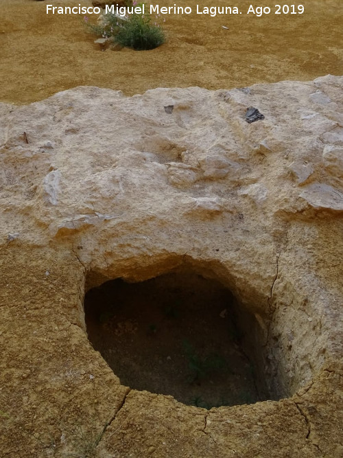Excavacin arqueolgica de Simago - Excavacin arqueolgica de Simago. 