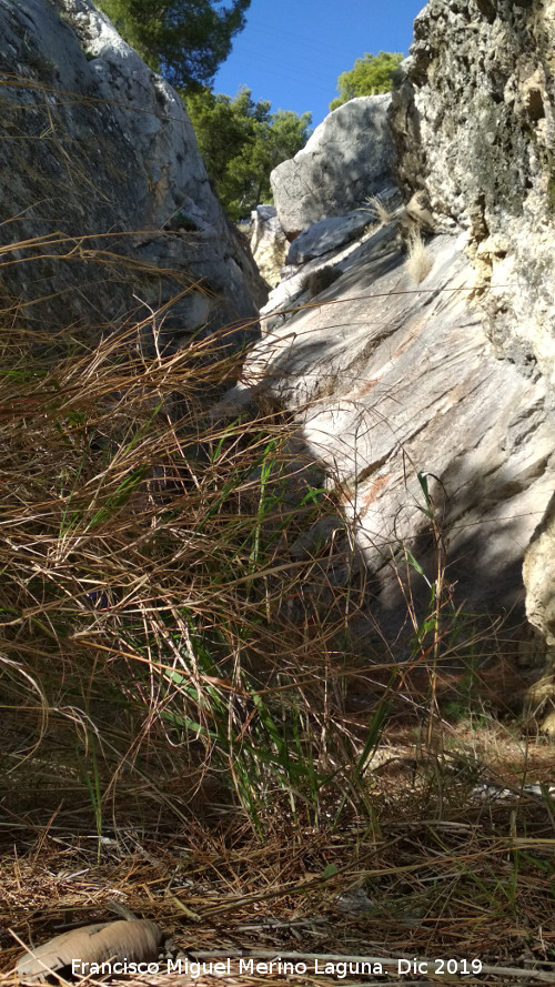 Callej�n del Cerro de Santa Catalina - Callej�n del Cerro de Santa Catalina. 