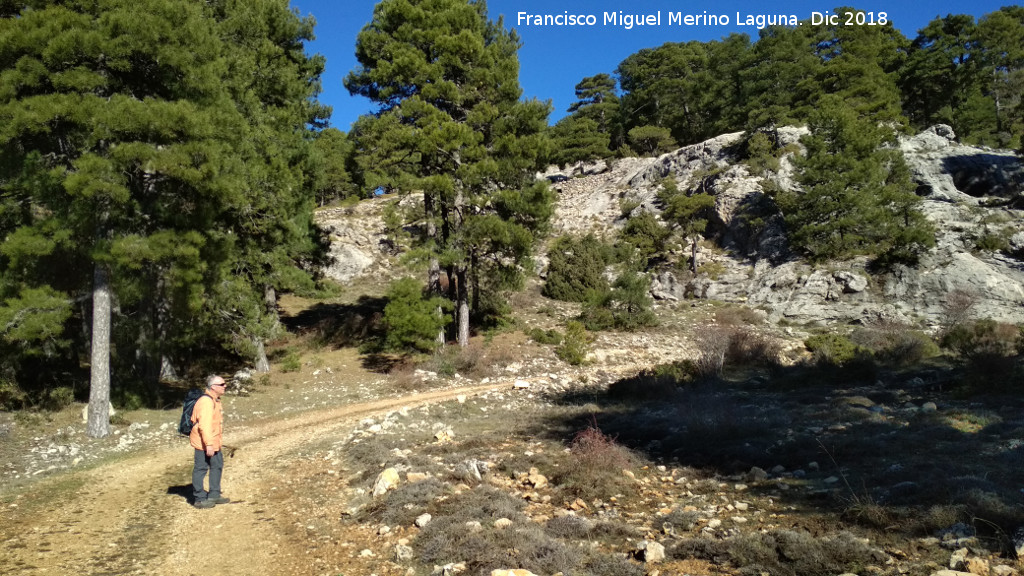 Camino de la Cueva de los Alcañetes - Camino de la Cueva de los Alcañetes. Cerca del Puerto de Guadahornillos