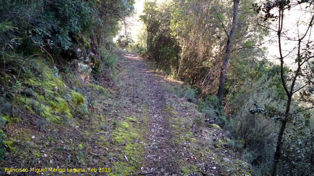Camino del Chorreón - Camino del Chorreón. 