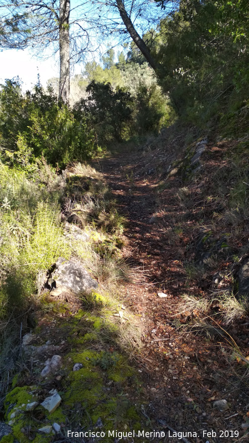 Camino del Chorreón - Camino del Chorreón. 