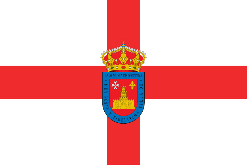 La Almunia de Doña Godina - La Almunia de Doña Godina. Bandera