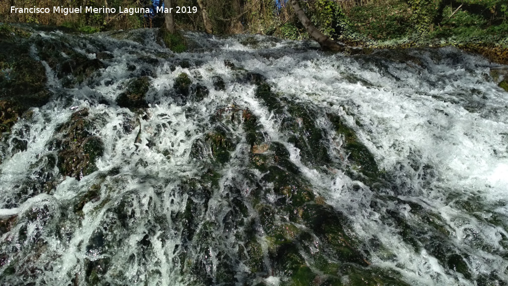 Parque Natural del Monasterio de Piedra. Los Argálides - Parque Natural del Monasterio de Piedra. Los Argálides. 
