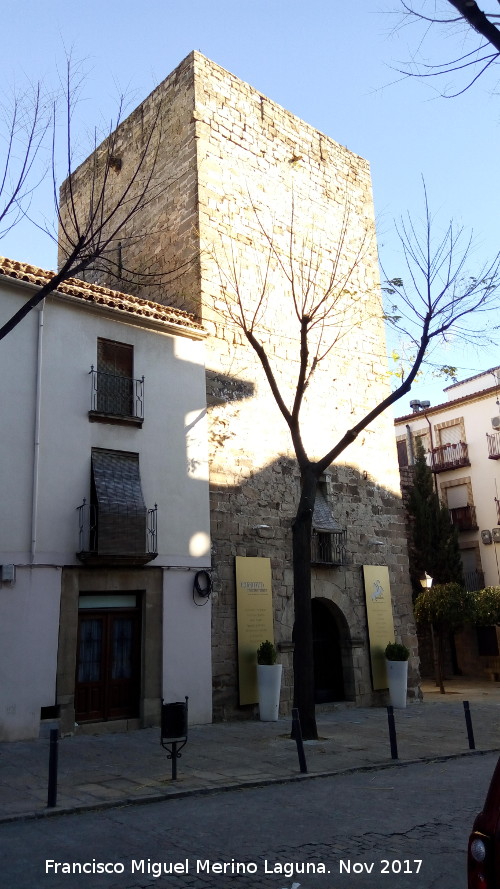 Torreón Muebles Trinidad - Torreón Muebles Trinidad. 