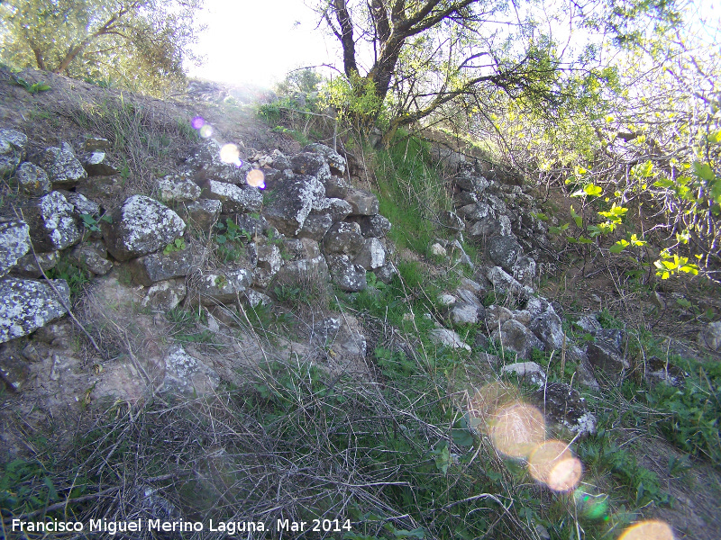 Oppidum Bora Cerealis - Oppidum Bora Cerealis. Murallas