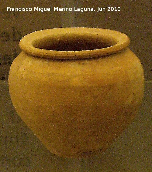 Ciudad iberorromana de Isturgi - Ciudad iberorromana de Isturgi. Orza. Museo Arqueológico Provincial