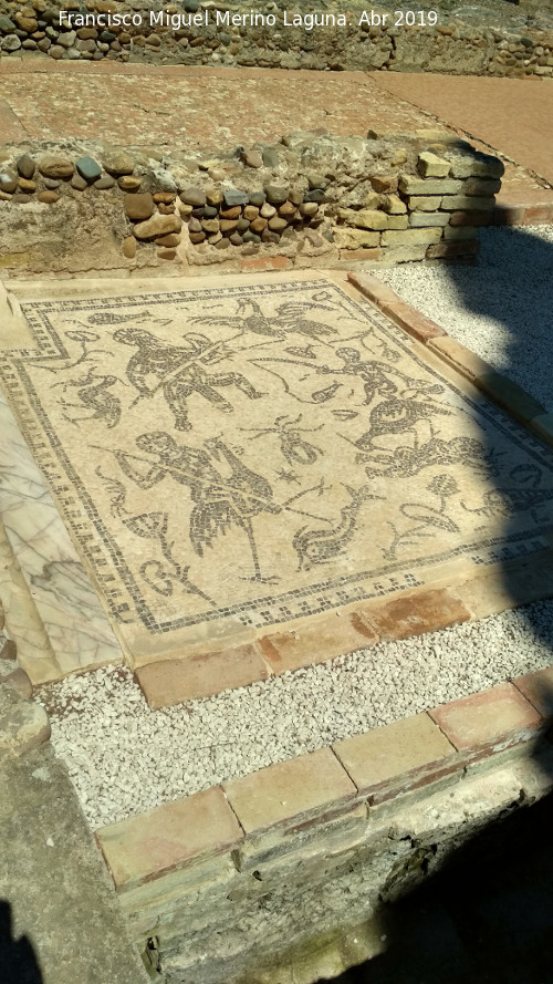Itálica. Letrinas Públicas - Itálica. Letrinas Públicas. Mosaico