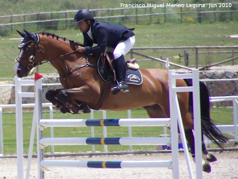 Concurso Hípico Nacional de Saltos - Concurso Hípico Nacional de Saltos. 
