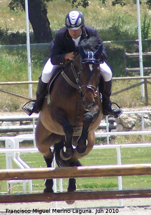 Concurso Hípico Nacional de Saltos - Concurso Hípico Nacional de Saltos. 