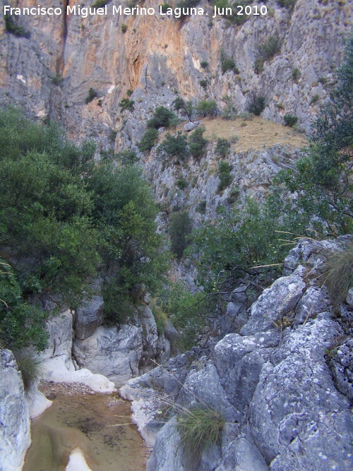 Arroyo Parrilla - Arroyo Parrilla. Cerca de su desembocadura en el río Quiebrajano