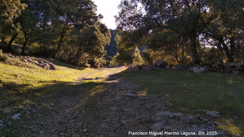 Ca�ada de los Habares - Ca�ada de los Habares. 