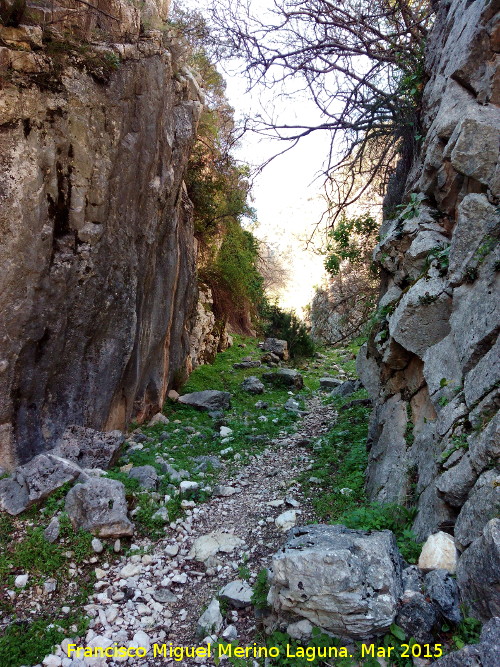 Cañón de la Tinaja - Cañón de la Tinaja. 